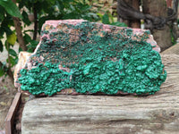 Natural Ball Malachite On Dolomite Matrix Specimen x 1 From Kambove, Congo