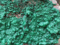 Natural Ball Malachite On Dolomite Matrix Specimen x 1 From Kambove, Congo