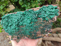 Natural Ball Malachite On Dolomite Matrix Specimen x 1 From Kambove, Congo