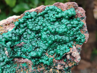 Natural Ball Malachite On Dolomite Matrix Specimen x 1 From Kambove, Congo