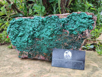 Natural Ball Malachite On Dolomite Matrix Specimen x 1 From Kambove, Congo