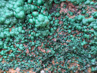 Natural Ball Malachite On Dolomite Matrix Specimen x 1 From Kambove, Congo