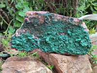 Natural Ball Malachite On Dolomite Matrix Specimen x 1 From Kambove, Congo