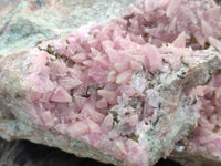 Natural Extremely Rare Highly Collectable Rhodocalcite Specimen x 1 From Congo