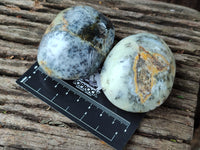 Polished Dendritic Opal Palm Stones x 12 From Madagascar