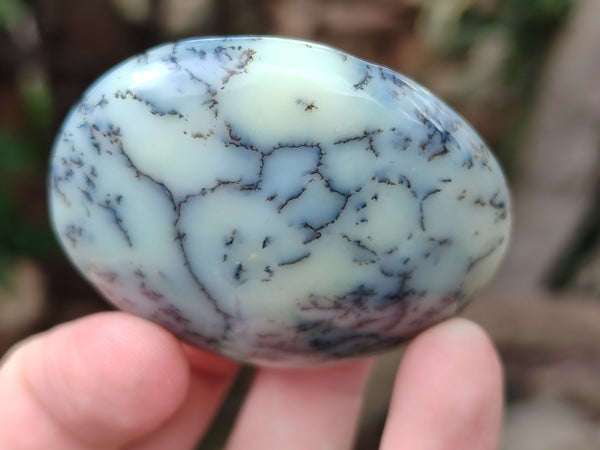 Polished Dendritic Opal Palm Stones x 12 From Madagascar