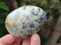 Polished Dendritic Opal Palm Stones x 12 From Madagascar