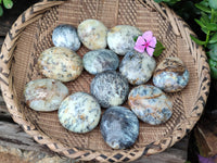 Polished Dendritic Opal Palm Stones x 12 From Madagascar