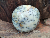 Polished Dendritic Opal Palm Stones x 12 From Madagascar