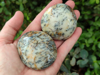 Polished Dendritic Opal Palm Stones x 12 From Madagascar