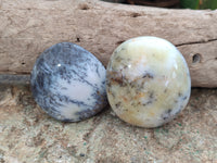 Polished Dendritic Opal Palm Stones x 12 From Madagascar