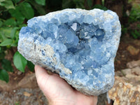 Natural Celestite Geode Specimen x 1 From Sakoany, Madagascar