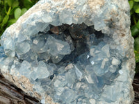 Natural Celestite Geode Specimen x 1 From Sakoany, Madagascar