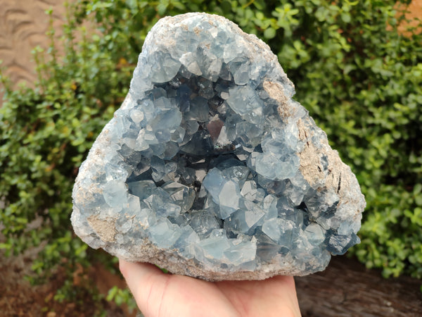 Natural Celestite Geode Specimen x 1 From Sakoany, Madagascar