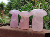 Polished Rose Quartz Mushrooms x 3 From Madagascar