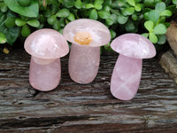 Polished Rose Quartz Mushrooms x 3 From Madagascar