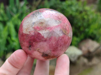 Polished Rhodonite Spheres x 2 From Zimbabwe