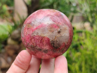 Polished Rhodonite Spheres x 2 From Zimbabwe