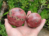 Polished Rhodonite Spheres x 2 From Zimbabwe