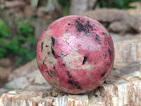 Polished Rhodonite Spheres x 2 From Zimbabwe