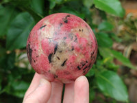 Polished Rhodonite Spheres x 2 From Zimbabwe