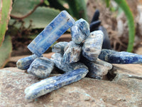 Natural Kyanite Crystals x 1.7 Kg Lot From Zimbabwe