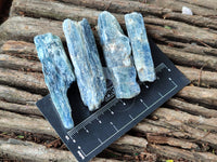 Natural Kyanite Crystals x 1.7 Kg Lot From Zimbabwe