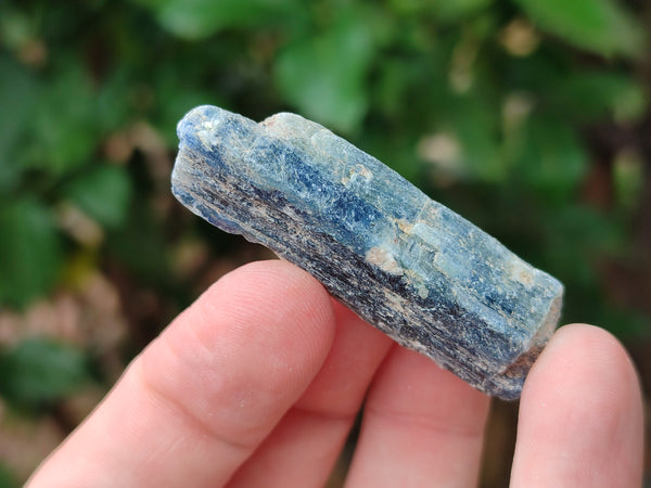 Natural Kyanite Crystals x 1.7 Kg Lot From Zimbabwe