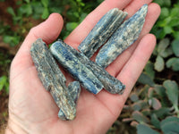 Natural Kyanite Crystals x 1.7 Kg Lot From Zimbabwe