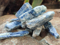 Natural Kyanite Crystals x 1.7 Kg Lot From Zimbabwe