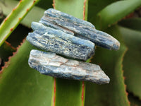 Natural Kyanite Crystals x 1.7 Kg Lot From Zimbabwe