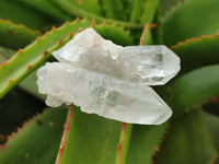 Natural Quartz Clusters x 35 From Mpika, Zambia