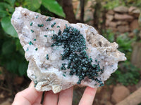 Natural Ball Malachite On Dolomite Matrix Specimens x 2 From Kambove, Congo