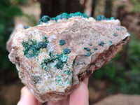 Natural Ball Malachite On Dolomite Matrix Specimens x 2 From Kambove, Congo