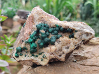 Natural Ball Malachite On Dolomite Matrix Specimens x 2 From Kambove, Congo