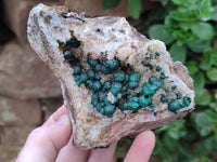 Natural Ball Malachite On Dolomite Matrix Specimens x 2 From Kambove, Congo