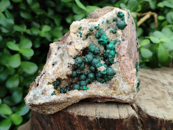 Natural Ball Malachite On Dolomite Matrix Specimens x 2 From Kambove, Congo