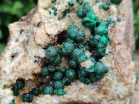 Natural Ball Malachite On Dolomite Matrix Specimens x 2 From Kambove, Congo