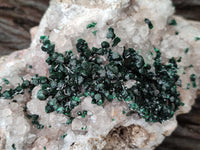 Natural Ball Malachite On Dolomite Matrix Specimens x 2 From Kambove, Congo