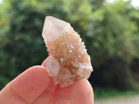 Natural Spirit Quartz Crystals x 114 From Boekenhouthoek, South Africa