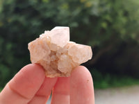 Natural Spirit Quartz Crystals x 114 From Boekenhouthoek, South Africa