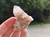 Natural Spirit Quartz Crystals x 114 From Boekenhouthoek, South Africa