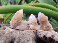 Natural Spirit Quartz Crystals x 114 From Boekenhouthoek, South Africa