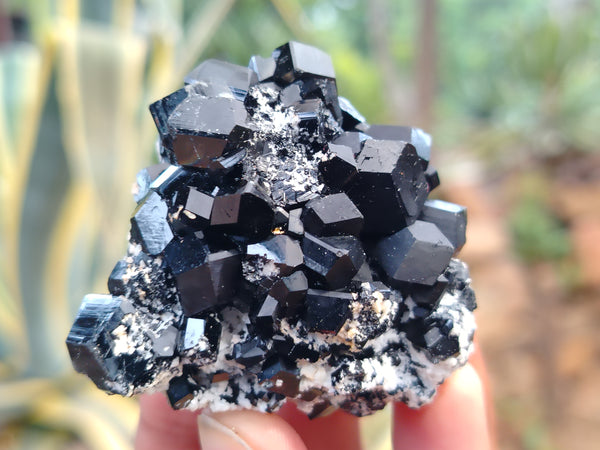 Natural Schorl Black Tourmaline with Opal Hyalite Specimen x 12 From Erongo, Namibia