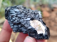 Natural Schorl Black Tourmaline with Opal Hyalite Specimen x 12 From Erongo, Namibia