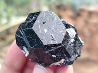 Natural Schorl Black Tourmaline with Opal Hyalite Specimen x 12 From Erongo, Namibia