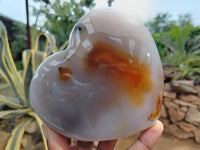 Polished Dendritic Agate Gemstone Hearts x 2 From Madagascar