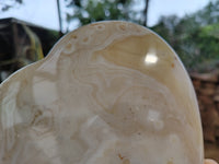 Polished Dendritic Agate Gemstone Hearts x 2 From Madagascar