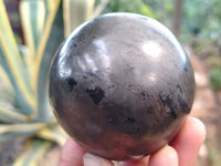 Polished Pharaoh Stone Black Basalt Spheres x 3 From Zimbabwe