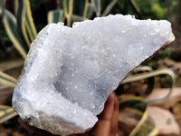 Natural Blue Lace Agate Geode Specimens x 2 From Malawi